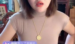 直播爆料本山是真的吗视频,本山真相揭秘，视频揭露惊人内幕