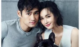 娱乐圈爆料谈恋爱的明星,明星甜蜜牵手，揭秘甜蜜背后的故事