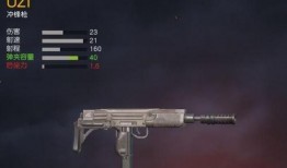 吃鸡最新枪爆料,吃鸡战场再掀风云，神秘武器引领潮流