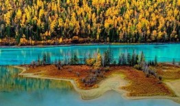 喀纳斯景区爆料视频播放,揭秘神秘自然奇观背后的故事